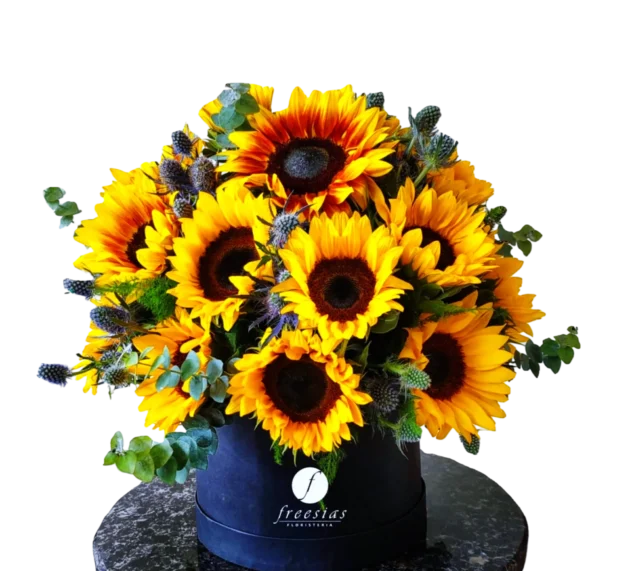 Arreglo floral de girasoles en caja premium - Sol de Otoño